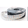 Strip LED 5050/12V 5m