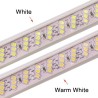 Strip LED 276 peice