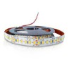 Strip LED single